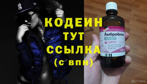 гашик Абаза
