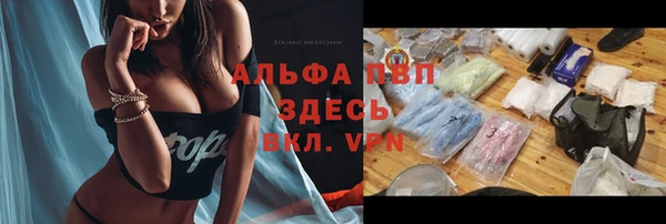 гашик Абаза