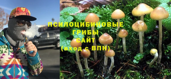 гашик Абаза