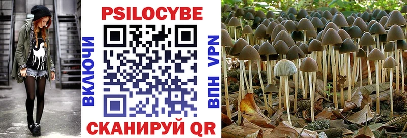 Псилоцибиновые грибы прущие грибы хочу наркоту Нижняя Тура