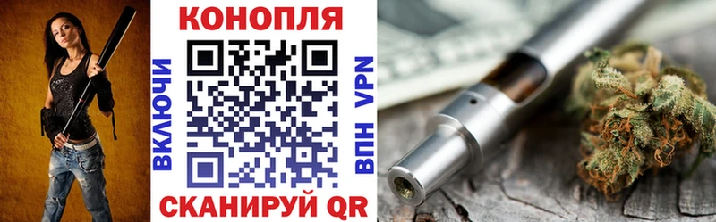 Шишки марихуана сатива Нижняя Тура